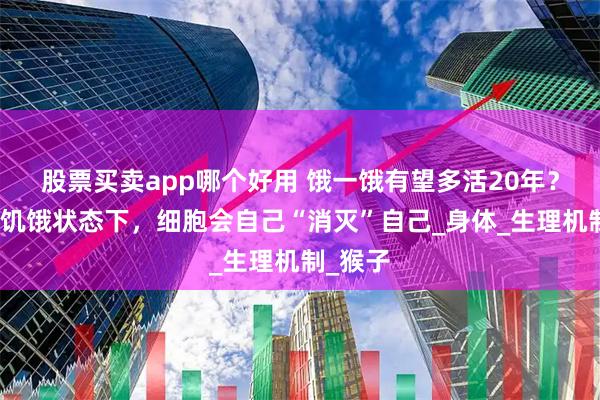 股票买卖app哪个好用 饿一饿有望多活20年？研究：饥饿状态下，细胞会自己“消灭”自己_身体_生理机制_猴子